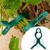 Greenhouse Plant Holders 20Pcs Support Clips, Plastic Gentle Clamps, Cucumber Growth Clips Tomato Cage for Climbing Vines, Flowers Stems Outdoor