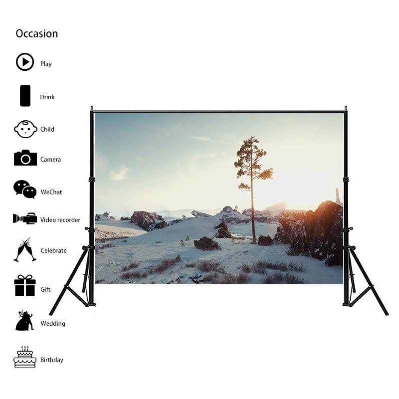 Winter Theme Snow Scene Background Nature Landscape Sky Snowflake Christmas Portrait Prop Party Decoration Banner