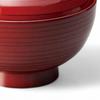 Family Lacquerware Dishwasher Made In Japan J-kitchens Bowl, Hand-Painted, Safe, PID-634938,