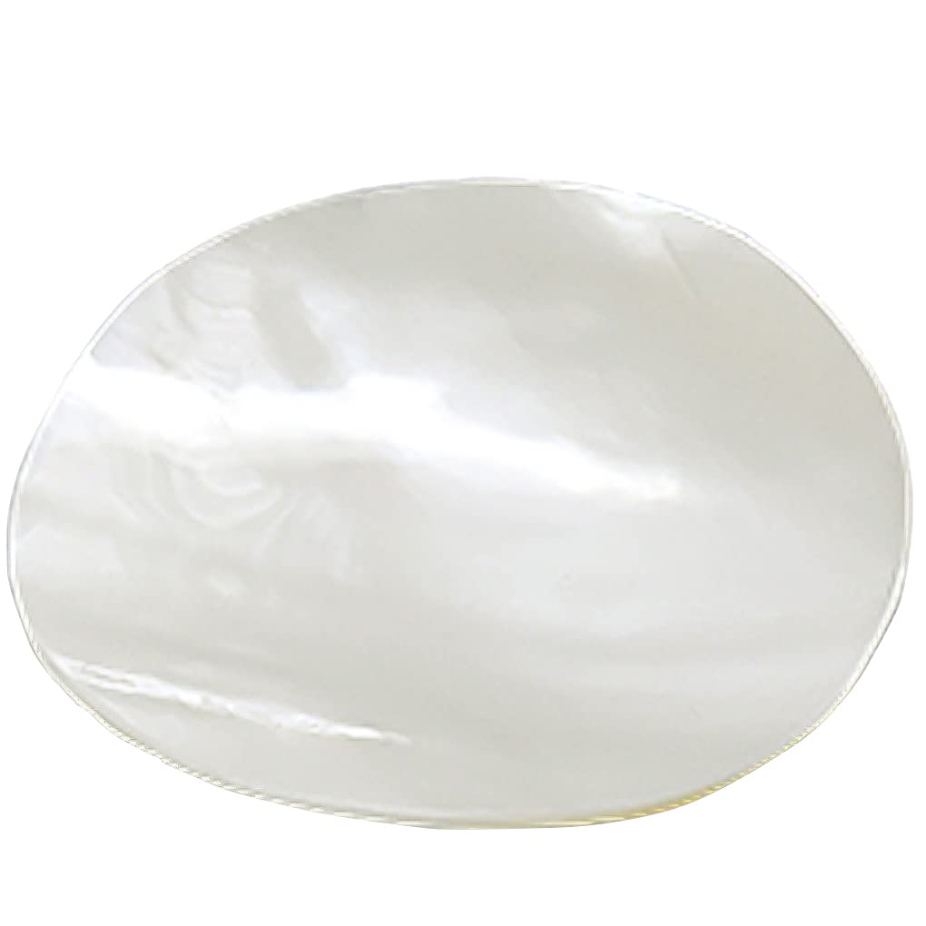 Yamako Shell Round Pearl 21599 Plate,