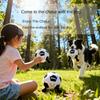 Pet Football Toy Simulation Voice Molar Tooth Cleaning Dog Chew Supplier OEM ODM Customizable