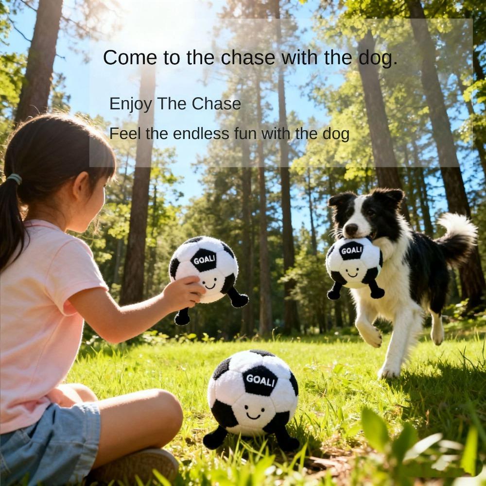 Pet Football Toy Simulation Voice Molar Tooth Cleaning Dog Chew Supplier OEM ODM Customizable
