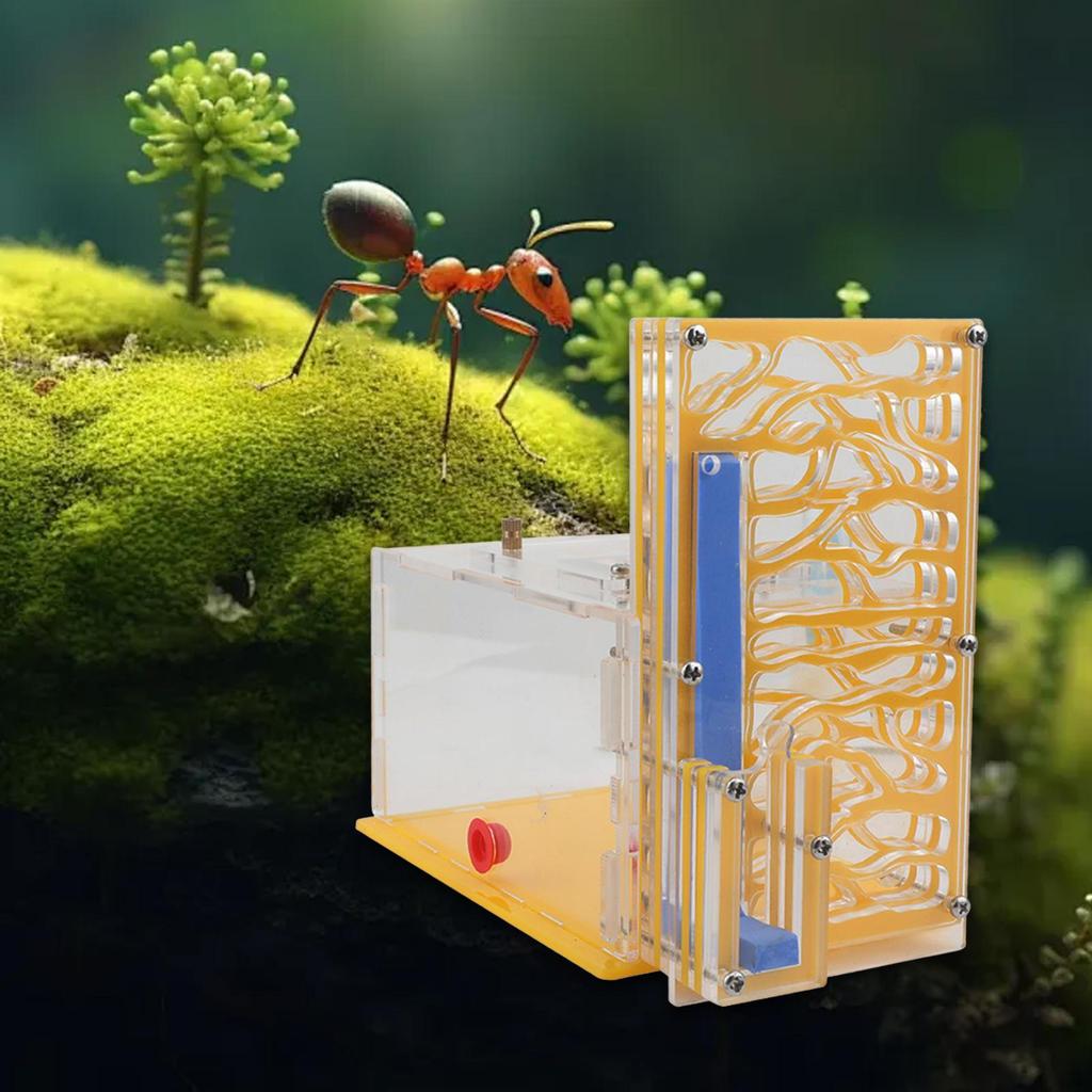 Compact DIY Moisture Nest Box for Science Observation Living Room Home Kitchen