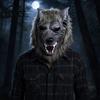 Celohlavová Halloweenská Maska Vlkodlaka, Latexová Vlčí Cosplay Pokrývka Hlavy s Pohodlnou Prodyšnou Realistickou Srstí, Párty Strašidelný Dům Rekvizita, Nastavitelná