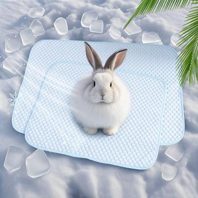 1pc Summer Cooling Mat Breathable Ice Silk Cooling Pad for Small Animals Rabbit Hamster Scratch-resistant Wear-resistant Ice Pad