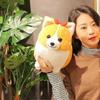 38cm Dog Stuffed Animals Doll Plush Toy Pillow Animal Plush Pillow Decoracion Gift