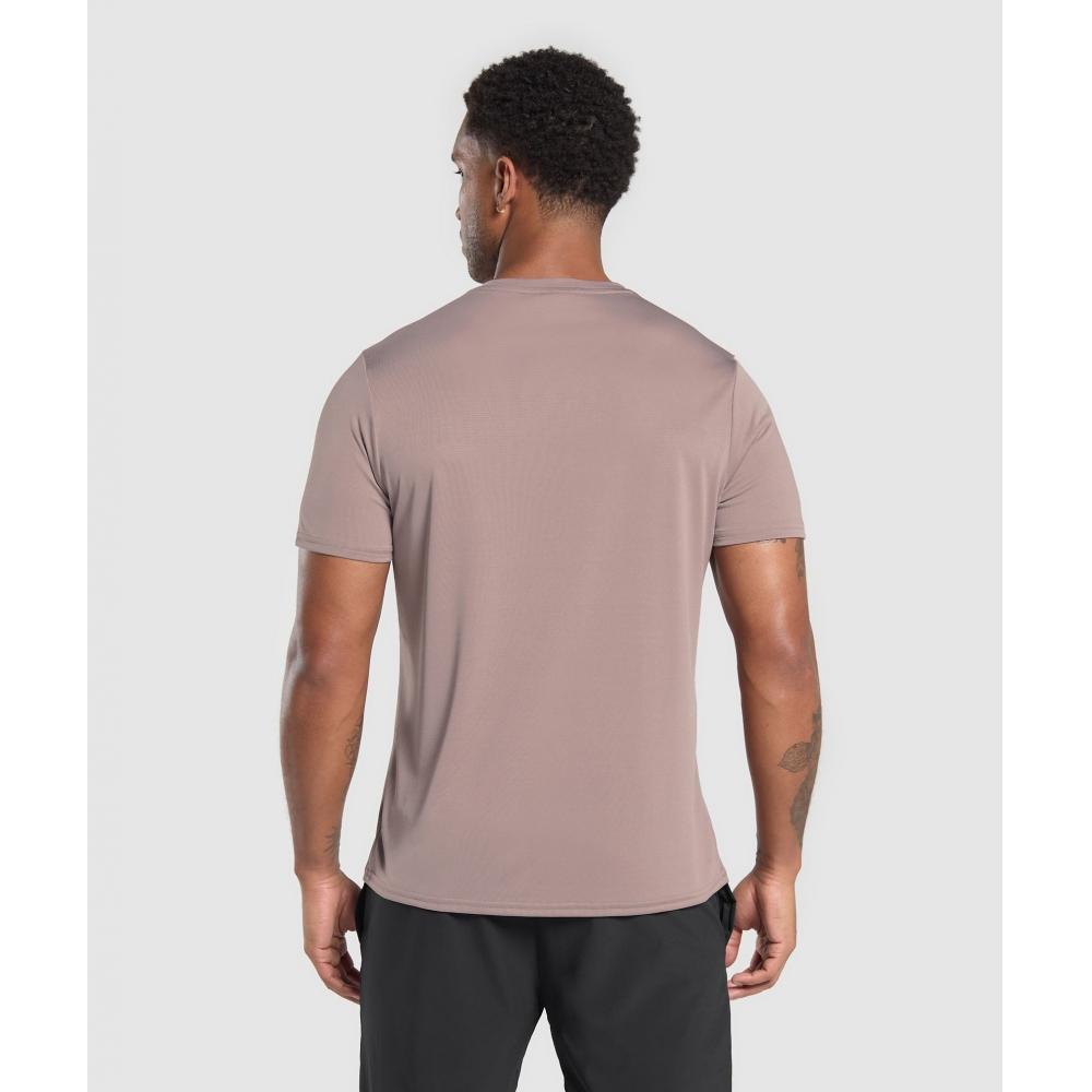 Gymshark Koszulka Arrival Regular Fit T shirT Powder Mauve A2a1j Kb7d