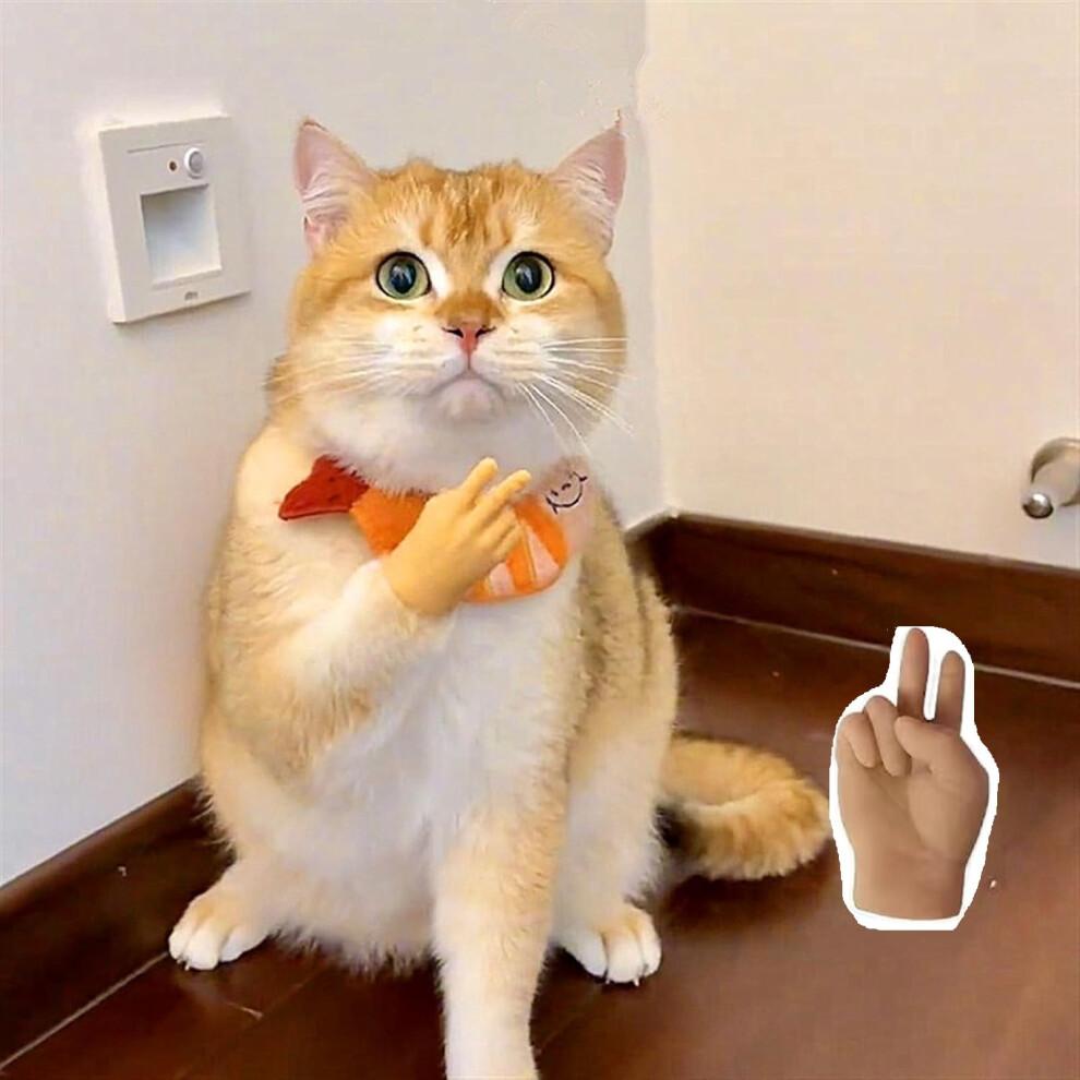 Mini ruce pro kočičí tlapky Mini složené gumové prsty pro malé kočičí drápky Kryty 6 kusů