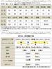 Gold Japan Plus Size Dress Long Mixed Coordinates for Fall and Sizes Black Women's Set, Blouson, Cropped, Material, Flared, Stretch, Spring, Nw-24029,