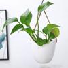 Creative White Ceramic Hanging Flower Pot Succulent Plant Flower Pot Home Wall Decoration Flower Pot