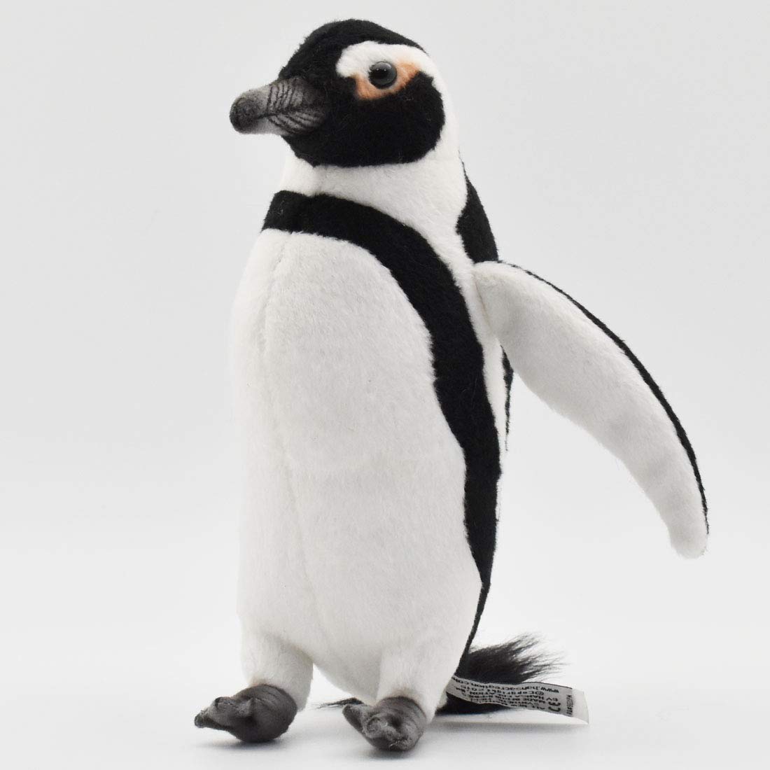 

Cape Penguin 21 BH7084