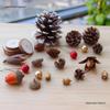 Natural Dried Fruit Wood Slices & Pine Acorn Christmas Decor Materials for Photography Backgrounds