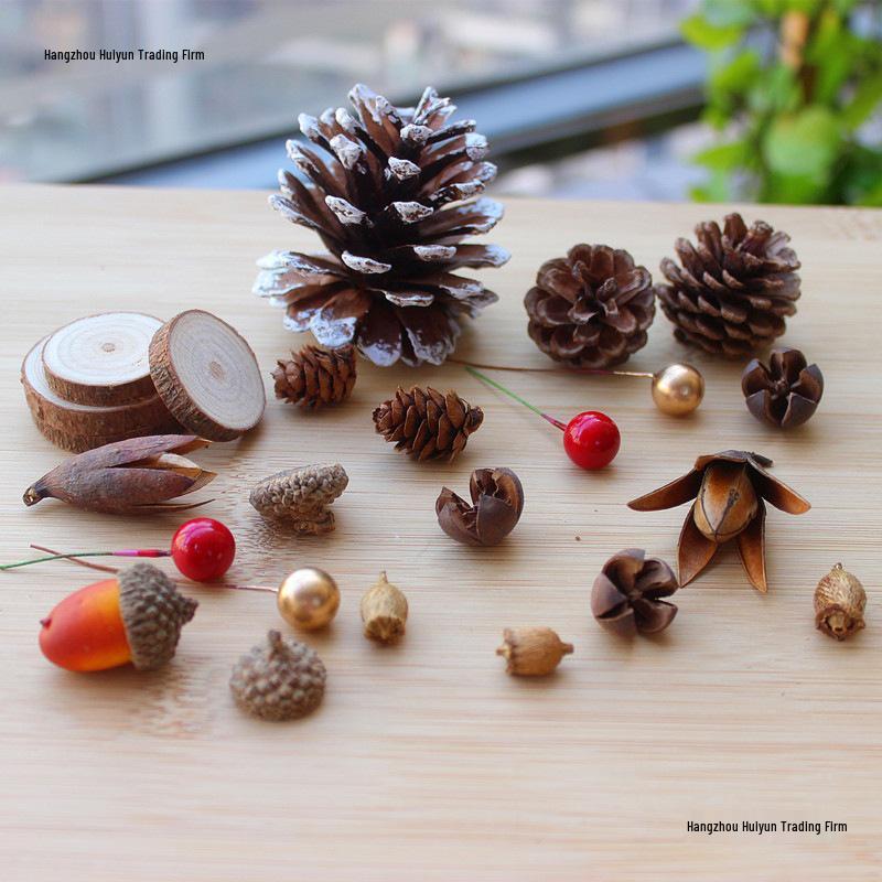 Natural Dried Fruit Wood Slices & Pine Acorn Christmas Decor Materials for Photography Backgrounds