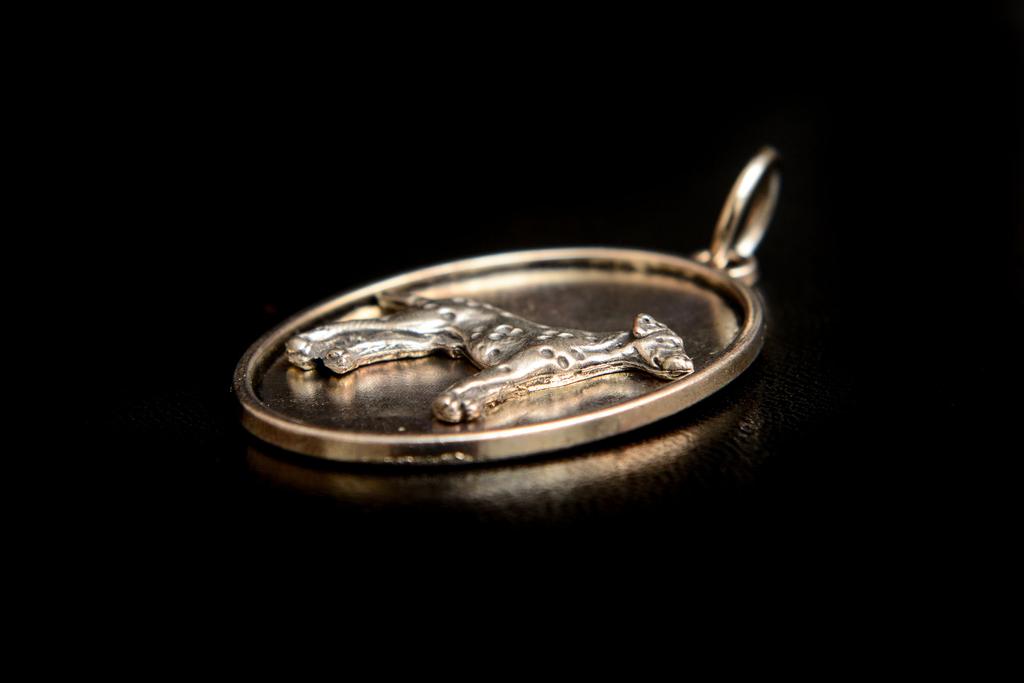 Dalmatian, Carriage Dog, Spotted Coach Dog - Necklace with a Dog, Pendant for a Dog Mom, Unique Jewelry from the Art-Dog Brand