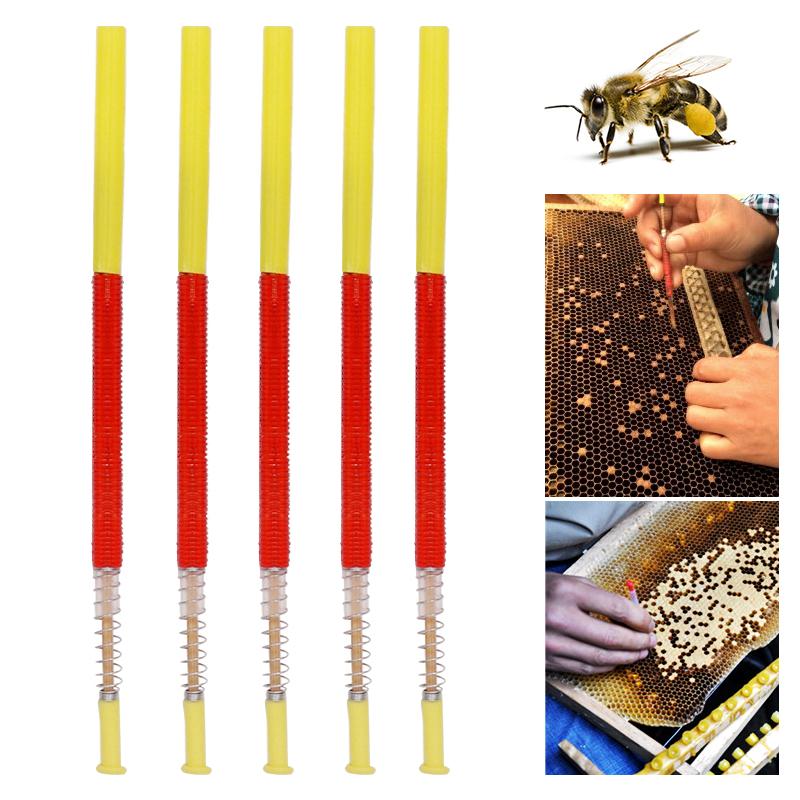 5/10/20pcs Beekeeping Grafting Tool Bee Queen Larva Retractable Moving Insect Worm Needle Grafting Equipment Tools