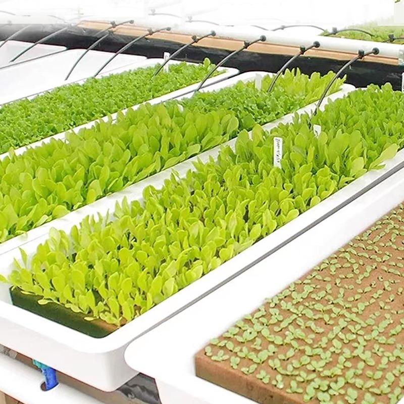50/300Pcs Cube Rock Wool Starter Plugs Planting Block Garden Seedling Grow Plug Soilless Substrate Pots Hydroponics Cuttings