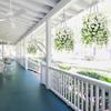 Accessories Artificial Flower Multicolor Plants Wreath  Wall Hanging Ornament