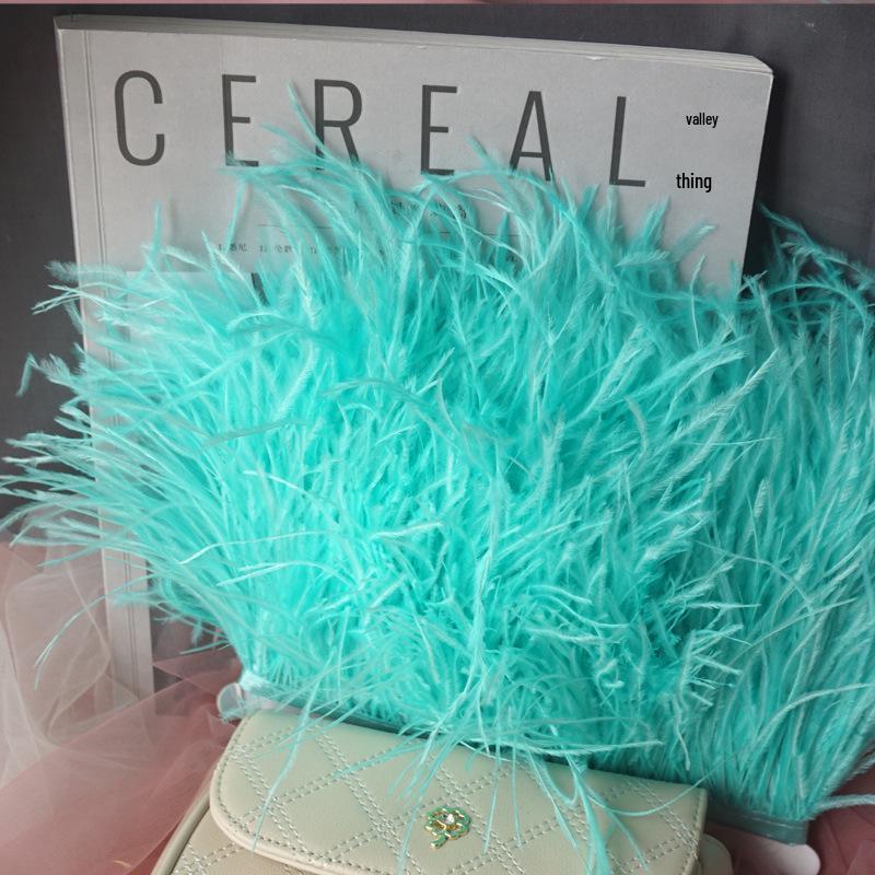 Ostrich Feather Fringe - Various Colors, 10-15cm, 1 Meter for Clothing Accessories