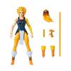 Masters of the Universe x ThunderCats figurine Cheetara 14 cm