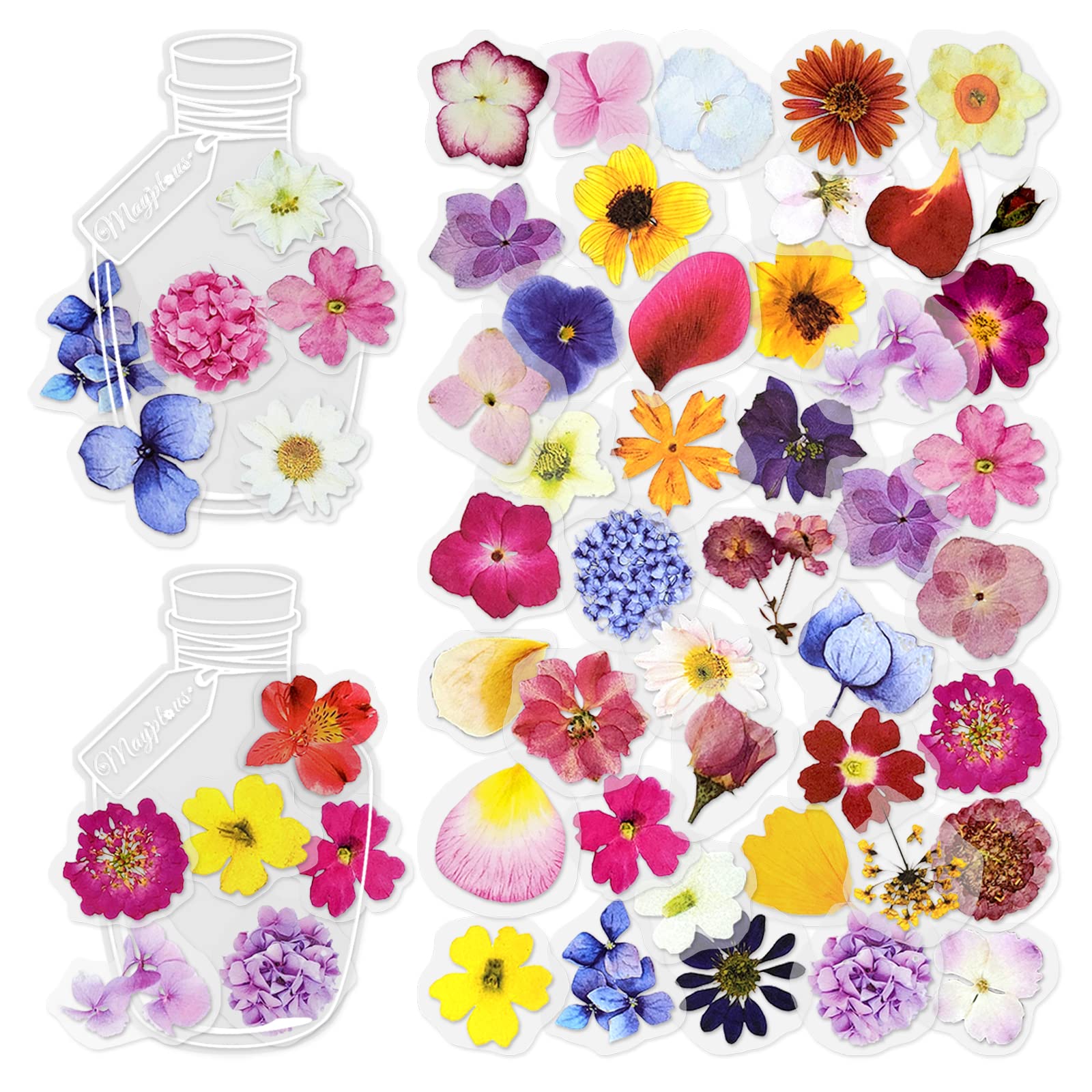 

240 листов Цветочный Скрапбук Декоративные Лепестки Планировщик Растения Журнал Наклейки для Взрослых Открытка Фото Ручная работа Наклейки, Наклейки, Наклейки, Наклейки,