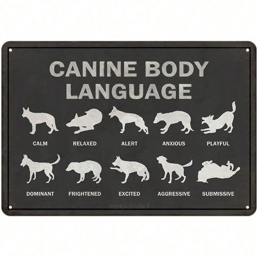 Funny Dog Body Language Metal Tin Sign Vintage Canine Decor Plaque Home Bar Wall Rustic Novelty 8x12