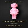 Such Small Hands by Andres Barba Paperback Book 9781846276750