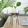 Modern Wooden Frame Hydroponic Planter Glass Bulb Vase Indoor Bonsai Decor for Desk