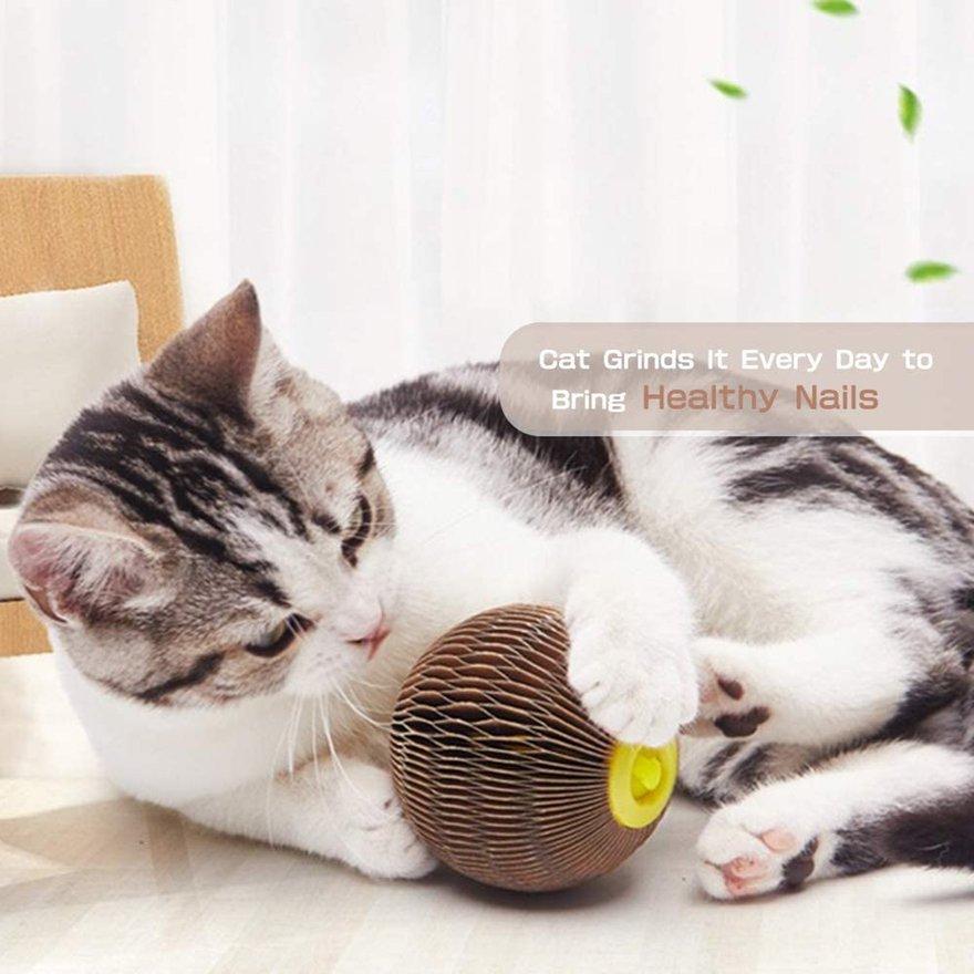 cat ball scratch toy