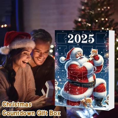Yousheng Cat Advent Calendars 2025 2D Acrylic Cute Cat Ornaments 24 Days Christmas Countdown Calendar Holiday Tree Hanging Decoration for Cat Lovers