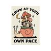 You're Definitely a Funny Poster with Retro Fungi from the '70s, Fancy Hippies, Ball, Dancing Frogs, Canvas, Painting, Wall Art Photography