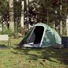 VidaXL Tunnel Camping Tent 2 Person Green Waterproof, Tent, Camping Shelter, Garden Shelter, Garden Tent 94604