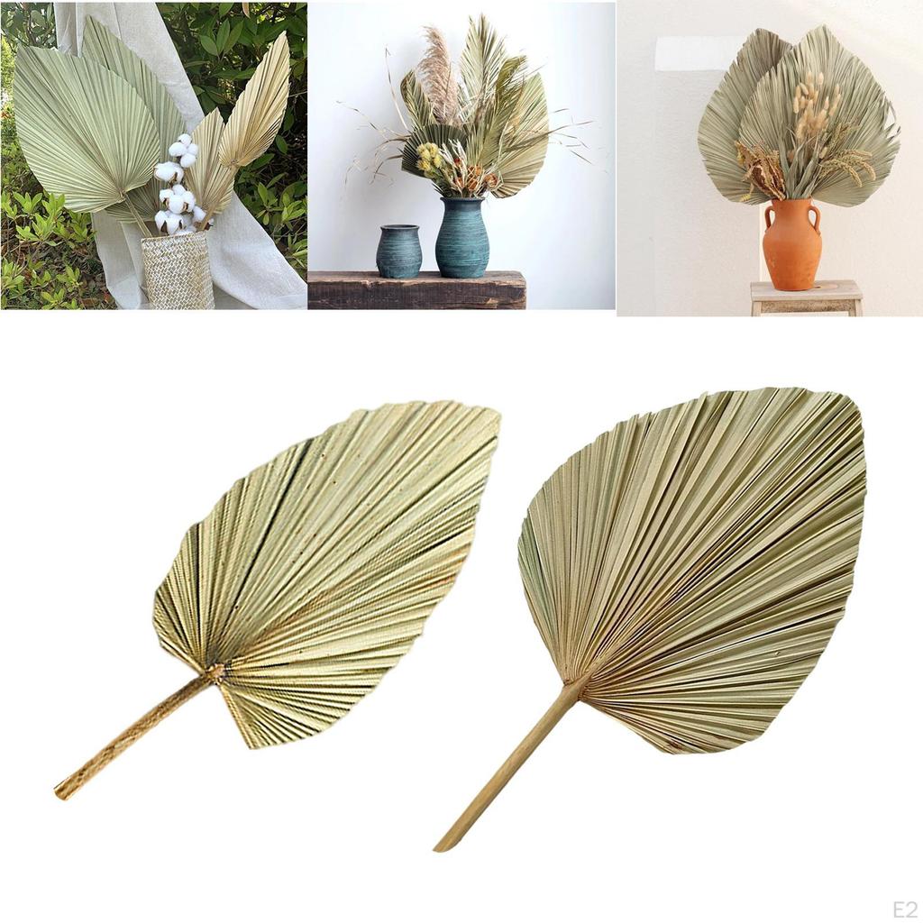 Dried Palm Leaves Real Boho Fans Tropical for Wedding Kitchen