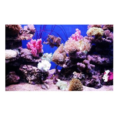 3D-Effekt Klebe-Korallen Seaworld Poster für Aquarium Fischbecken Dekoration 122 x 61cm