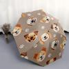 1pc Corgi Faces Pattern Umbrella with Plastic Handle,Compact & Stylish,Cartoon Pattern,Outdoor UmbrellaPT491