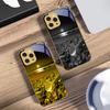 Färgglad stensjöstrand För IPhone 16 16Pro Max 15 P ro 14 13 Plus 12 Mini 11Pro Max XS Max XR Guld härdat glas mobilskal