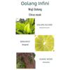 Atelier Cologne Oolang Infini Shower Gel