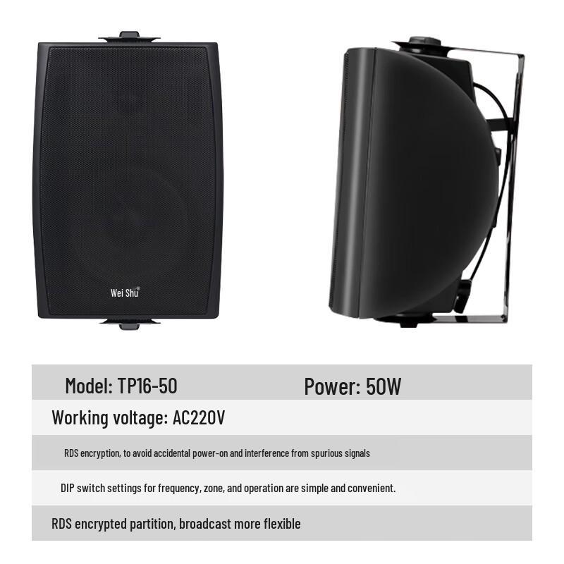 Weishu TP16-50 Wireless FM Wall-Mounted Active Speaker