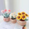 Crochet Tulip & Daisy Potted Bouquet Kit - Yarn Flowers & Ornaments