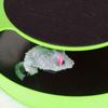 Catch The Mouse Moving Toy Interactive Plush Scratching Mat