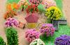 29 Model cm HO Perfect for Miniature Railway and Architectural Trees, 4-12 Gauge, Gardens, Dioramas, Landscapes, Models, Models.
