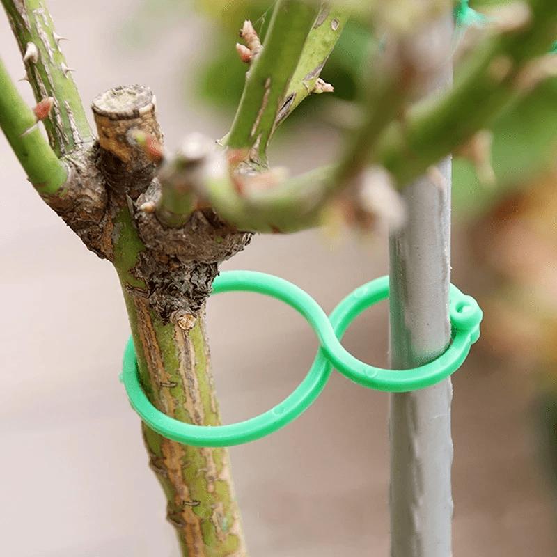 100PCS Garden Vine Strapping Clips Plant Bundled Buckle Ring Holder Tomato Garden Plant Stand Tool Garden Decor  Accessories
