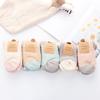 Candy Colors Winter Warm Plush Cashmere Sox Coral velvet socks Thickening Soft