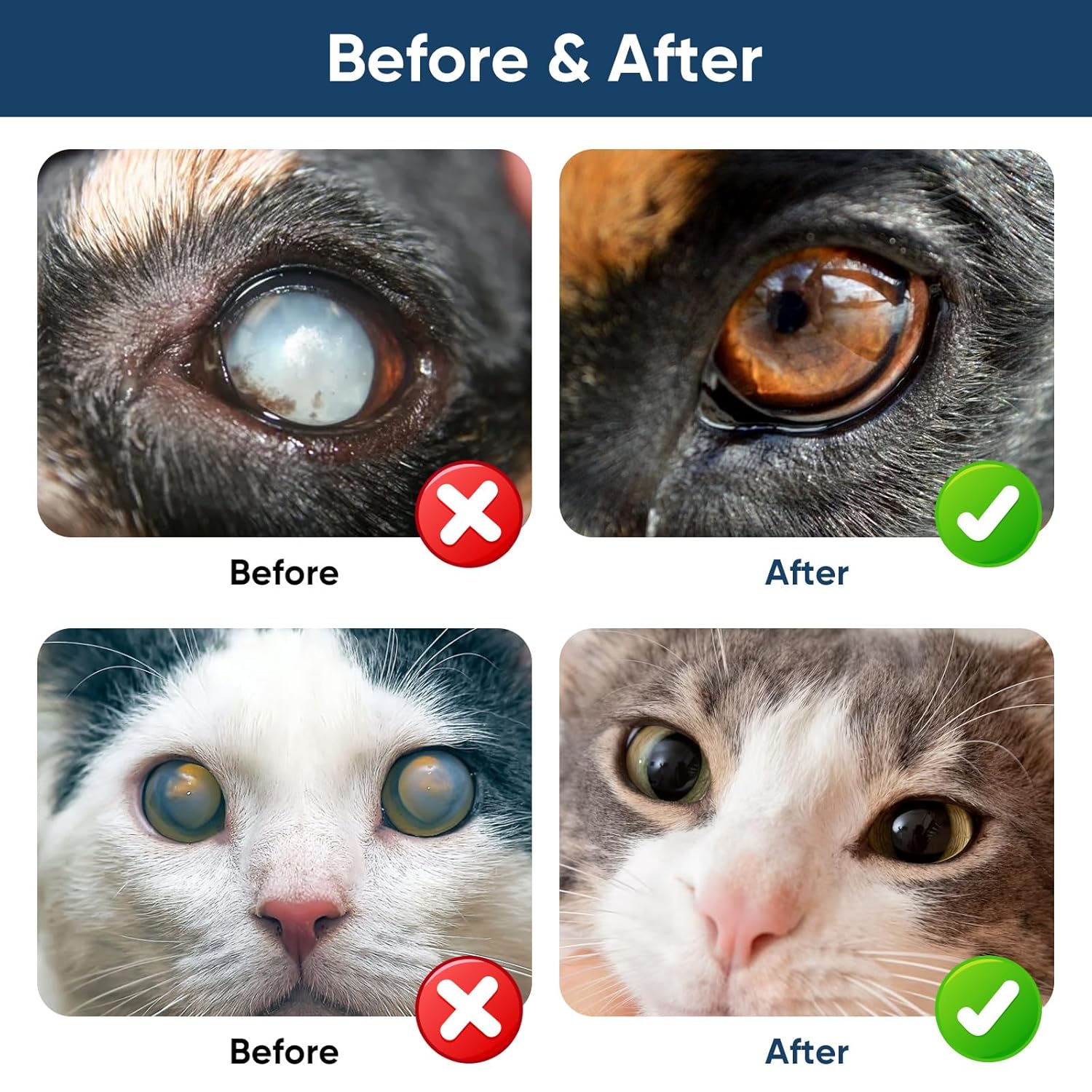 Капли от катаракты для собак, глазные капли для собак, улучшение четкости зрения, улучшение зрения глаз и катаракты(2 x 10 мл)