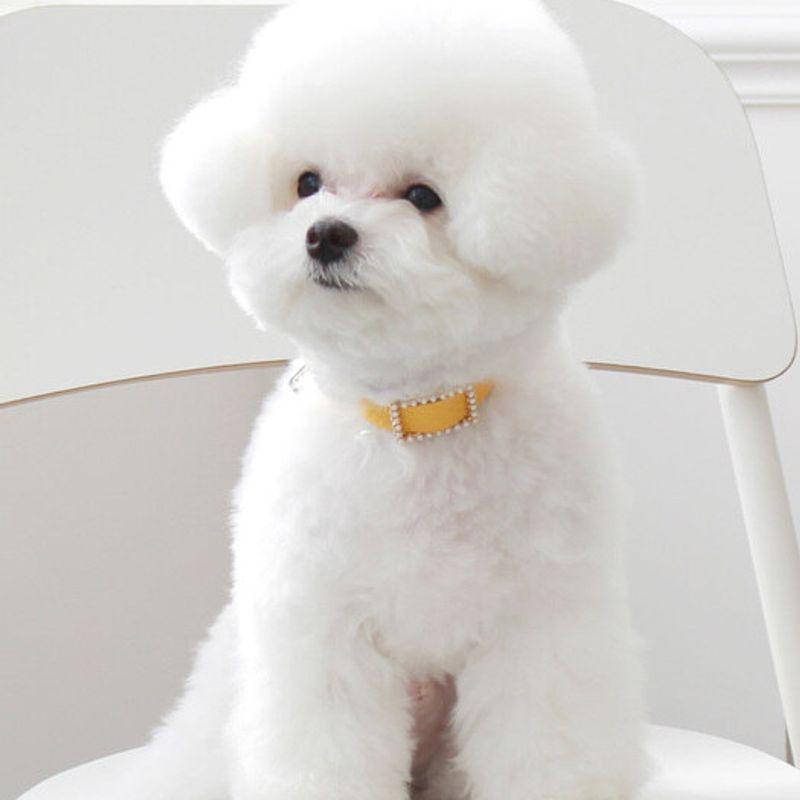 MAISON DE MIU Square Pearl Collar_Yellow