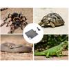 Pet Crawler Heating Pad Snake Spider Crawling Pet Box Fish Tank Insulation Pad