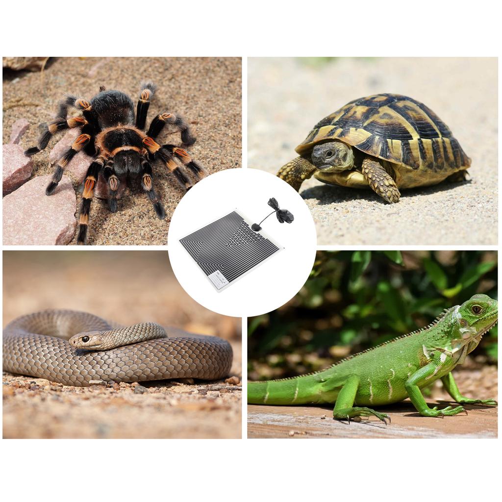 Pet Crawler Heating Pad Snake Spider Crawling Pet Box Fish Tank Insulation Pad
