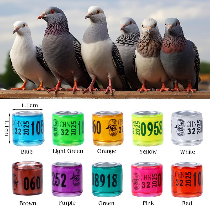 50pcs Pigeon Leg Rings Parrot Foot Rings Bird Leg Rings Pet Animals Plastic Clip Ring Identification Tools With Number Letter