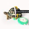 Haustier Schildkröte Zugband Kontrollseil Trainingsgurt Laufleine Haustierbedarf