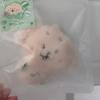 [sealed Pocket Wish Doll Daengtriver
