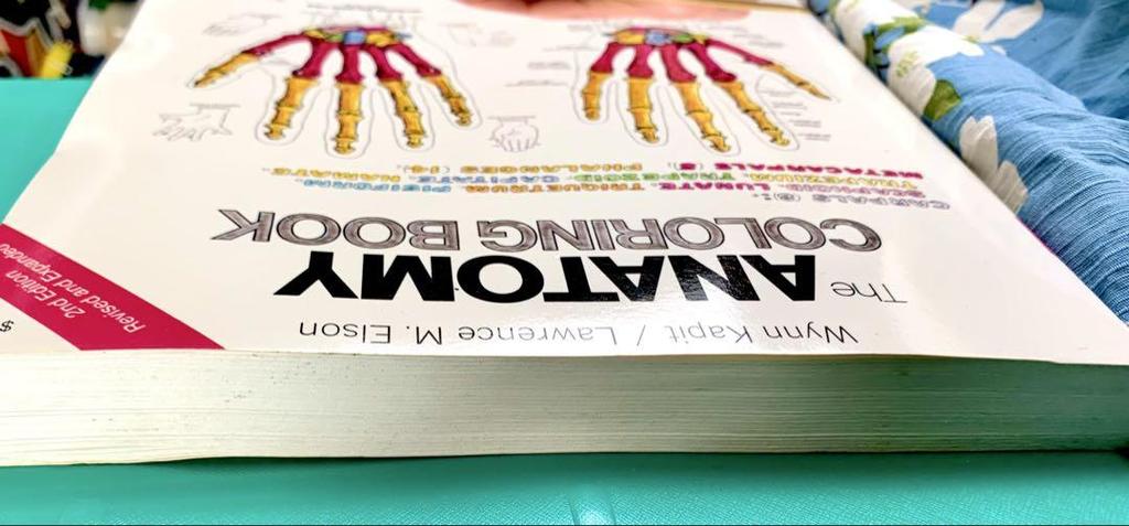 [USED] English version "The Anatomy Coloring Book" Anatomy coloring book